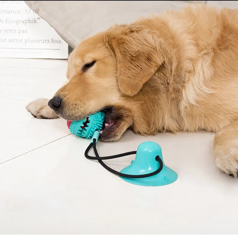 Interactive Chew Toy for Dogs